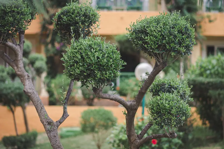 Greens & Outdoors at ELDECO AMAYA, Sector 33, Sonipat