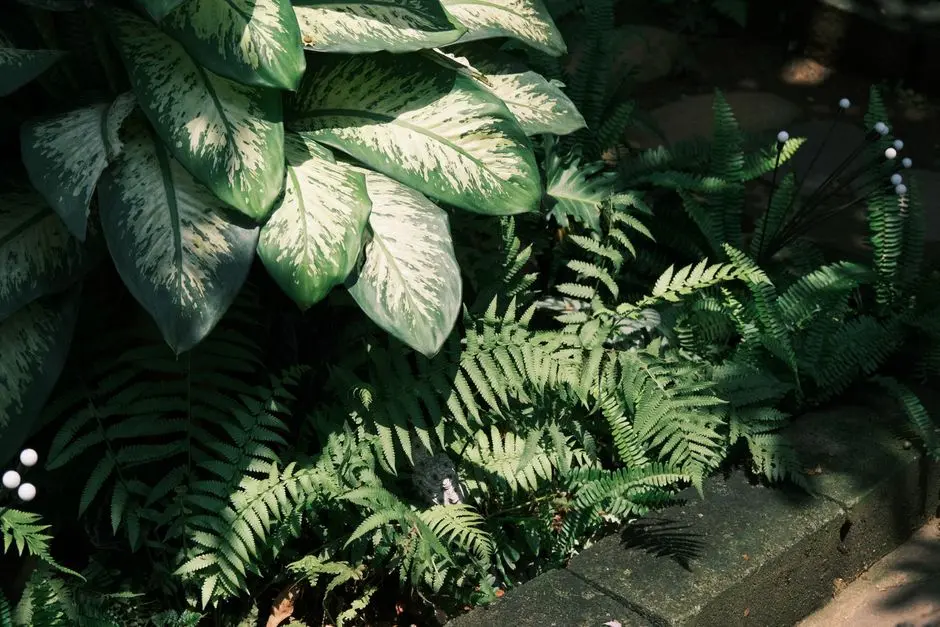 Greens & Outdoors at ELDECO TERRA & SOL, Sector 80, Gurgaon
