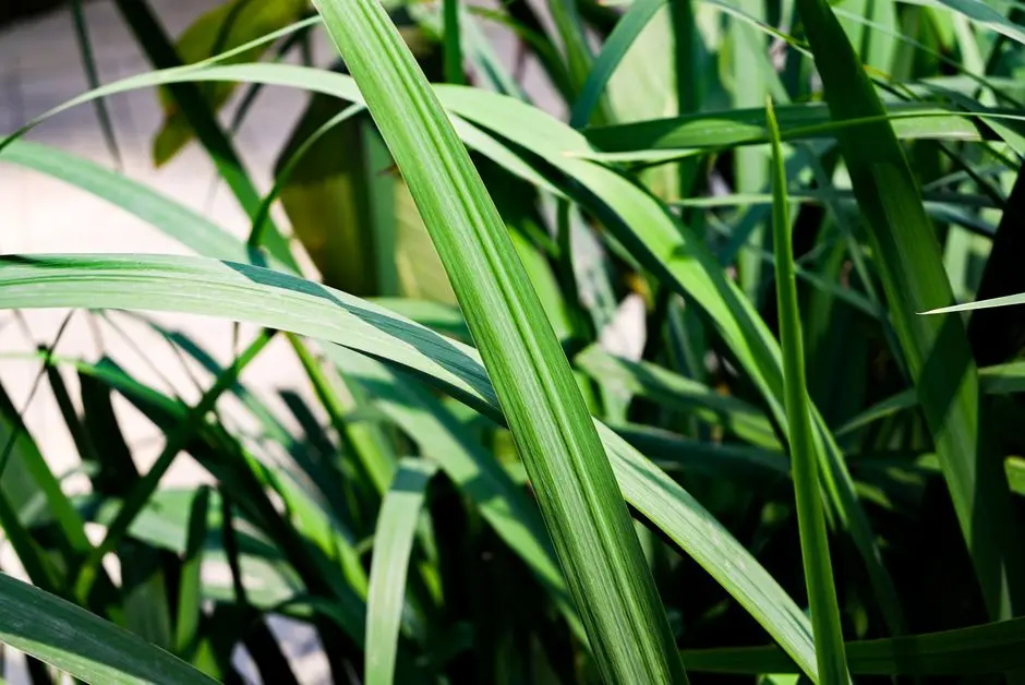 Greens & Outdoors at ELDECO LIVE BY THE GREENS, Sector 150, Noida