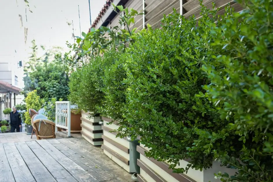 Greens & Outdoors at ELDECO IMPERIA AVENUE, Lucknow North, Lucknow