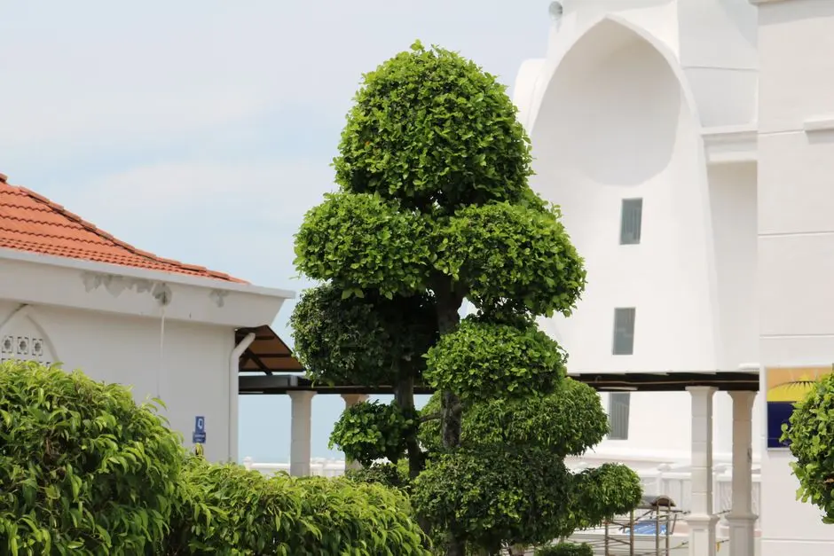 Greens & Outdoors at ELDECO TERRA GRANDE SIRMAUR (KASAULI HILLS), Village Mohana-Suchalli, Tehsil Pacchad, Sirmaur