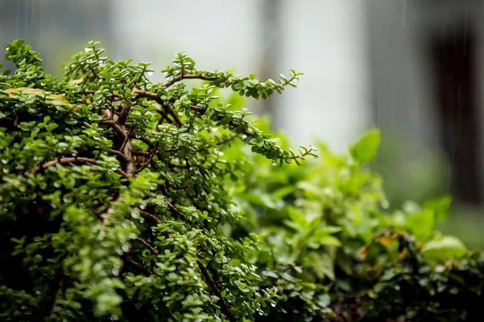 Greens & Outdoors at ELDECO CITY BAREILLY, Dohna, Bareilly