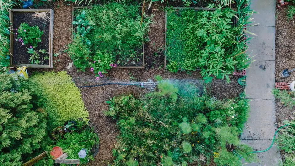 Greens & Outdoors at ELDECO GORAKHPUR, Gorakhpur
