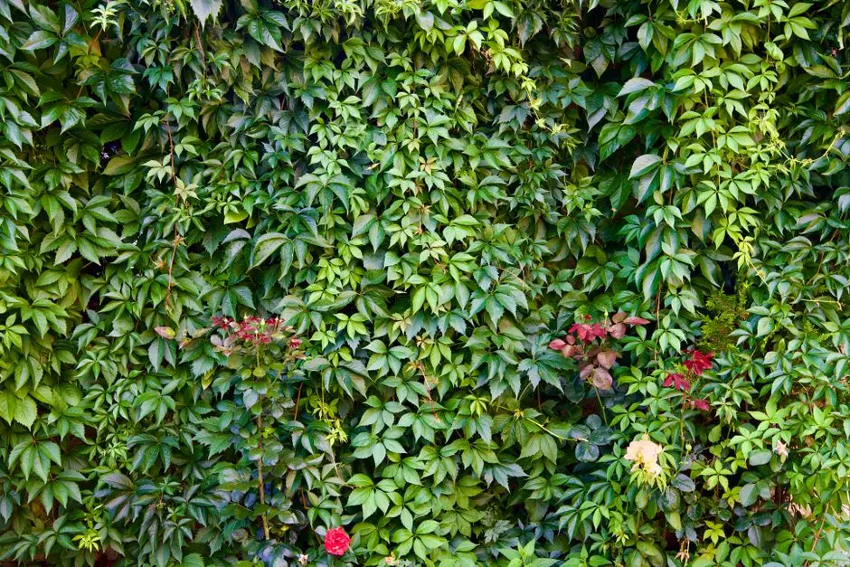 Greens & Outdoors at ELDECO SHAURYA ARCADE, Bijnor, Lucknow